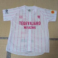 テゲバジャーロ宮崎　TEGEVAJARO MIYAZAKI ユニフォーム 12
