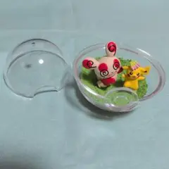 ポケモンテラリウム　ピカチュウ＆パッチール