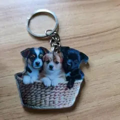 新品未使用の可愛い子犬デザイン キーホルダー