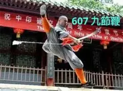 2025年最新】九節鞭の人気アイテム - メルカリ