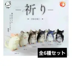 祈り　エンジェルチンチラ　全6種セット