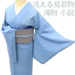 Y2916◆洗える夏着物 薄物 燕 小紋