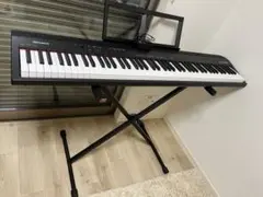 ローランド Roland GO-88P