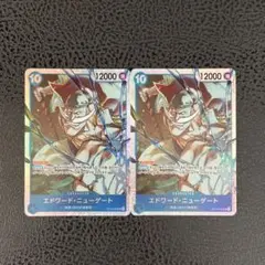 ワンピースカード　ニューゲート　白ひげ SR