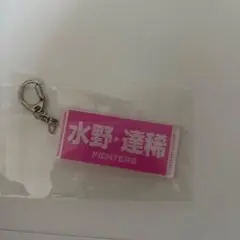 水野達稀　FIGHTERS キーホルダー