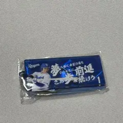 中日ドラゴンズ 応援歌キーホルダー 岡林勇希 ガチャガチャ