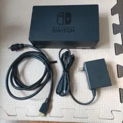 Switchドッグ　臭いあり