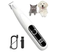 Item thumbnail for item 0e8cae11-4768-4ce4-a660-a18ff47313cf