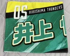 Item thumbnail for item e729aa49-94b2-400b-a2f3-285319470cf0