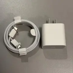 純正 Apple 20W USB-C充電器/ケーブルセット（編み込み）_1