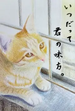 猫の絵 水彩画 手描き 原画 ポストカードサイズ