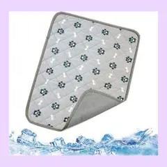 Item thumbnail for item 306661ca-c834-4921-9c08-8c44223a704c