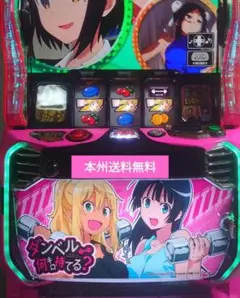 パチンコ実機 ダンベル何キロ持てる？ セル基板 パチンコ実機 Pフィーバーダンベル何キロ持てる？V セル基板