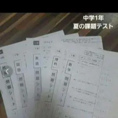 中学夏の課題テスト　中学学力テスト　中学テスト　中学フクト　中学過去問　中学1年