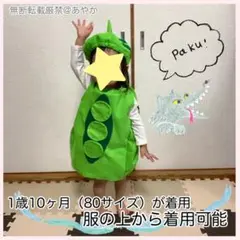 枝豆　夏野菜　やさい　おうちスタジオ　コスプレ　子供　帽子　生活発表会　お遊戯会