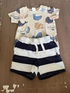 H&M クジラ柄 Tシャツ　gapショーツ セット 6M