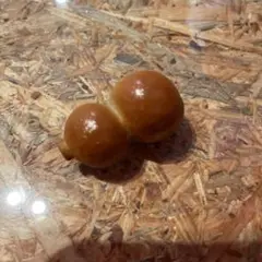 備前焼 ひょうたん ミニ