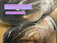 Item thumbnail for item 351416e2-cf38-4aa6-a36f-7a3b53581948
