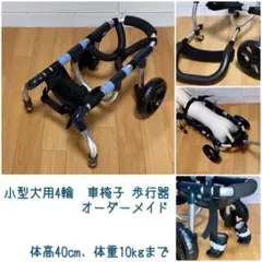 Item thumbnail for item 5684c795-c43c-4777-a71d-d04d21dd37fd