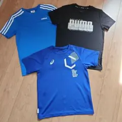 Item thumbnail for item 904976c1-6f1c-4250-8d7e-a391c105b4b7