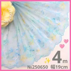 №250650 チュールレース