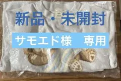 ダッフィー & フレンズ ルームウェア ジェラートピケ 水色 ブルー