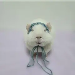 Item thumbnail for item c6b575bc-016c-4fe7-9e01-7e3b0970376e