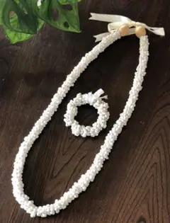 Shell Set ( フラダンス )
