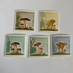 Item thumbnail for item 6befc43f-01d8-49a4-ac48-16a68c3bcc4e