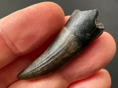 Item thumbnail for item 4a9b6e53-d1e3-4e85-b0eb-0fa07da3d6ae