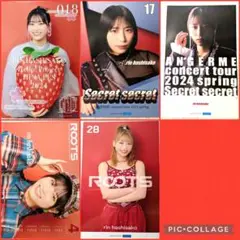 橋迫鈴 ピンポス5点 2024年 アンジュルム