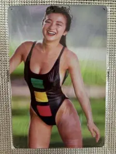 未開封　鈴木京香　オマージュアルミプレートブリキ看板① セクシー