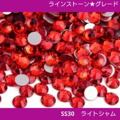 ラインストーン★ライトシャム SS30 新体操の衣装に