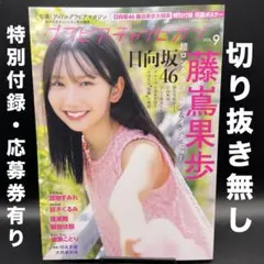 グラビアチャンピオン　VOL.9〈特別付録・応募券有り、切り抜き無し〉