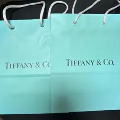 Tiffany & Co.  ティファニー　ショップ袋 中型 水色