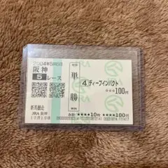 第118回 天皇賞(秋) サイレンススズカ ステイゴールド 現地