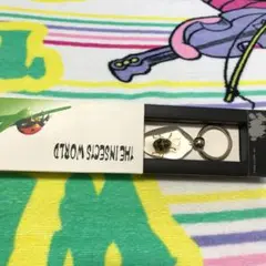 昆虫 標本 天道虫 キーリング キーホルダー