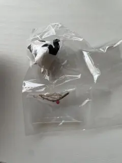 釣り日和 猫たちのひまつぶし ミックス