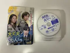 「大丈夫じゃない大人たち」中古DVDレンタル落ち品全16枚