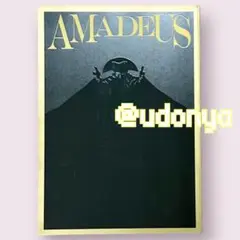 【美品】舞台 アマデウス パンフレット 松竹座 松本幸四郎 桐山 2017 限定