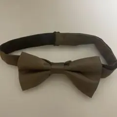 Item thumbnail for item 4c5fd5a7-d2f8-42a1-8108-bd91d900f738