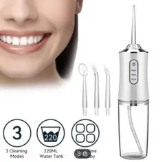 Item thumbnail for item 234c1898-1aab-47ae-9289-68b38c0f8df0