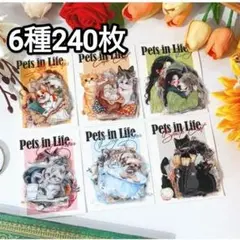 新！C50 萌えペット 猫 犬 動物 ステッカー コラージュ素材 PET シール