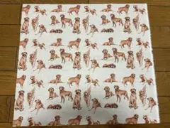 33.ゴールデンレトリバー