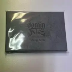 STRAY KIDS スキズ dominATEフォトカードセット