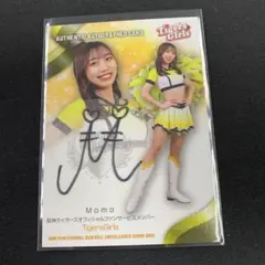 Item thumbnail for item 62268f67-2b99-4891-b750-f5a77aaaf4c4