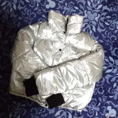 ベルシュカ ダウン シルバー
