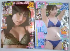 【DVD未開封・美品】【吉田莉桜 ヤングジャンプチャンピオン烈 2冊】