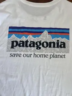 patagonia XL Tシャツ 100%オーガニックコットン