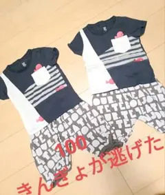 きんぎょが逃げたボーダー柄 Tシャツアンドボトムス 100cm 2枚セット.